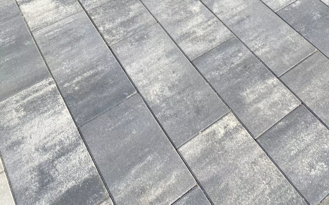 GINTER PŁYTKA GRASSO