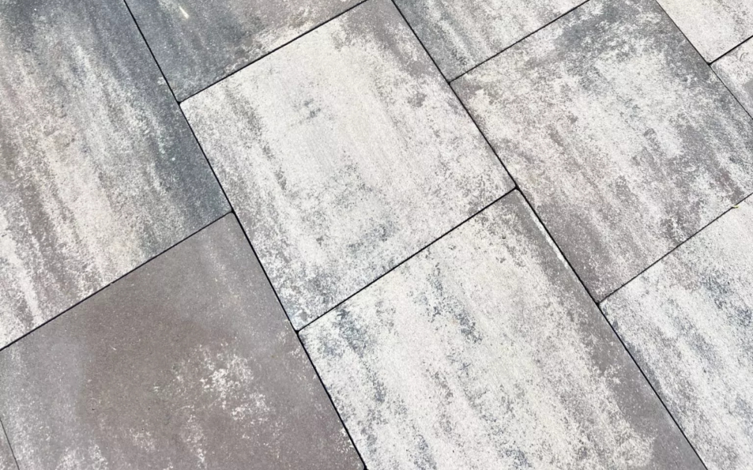 GINTER PŁYTKA CLASSIC