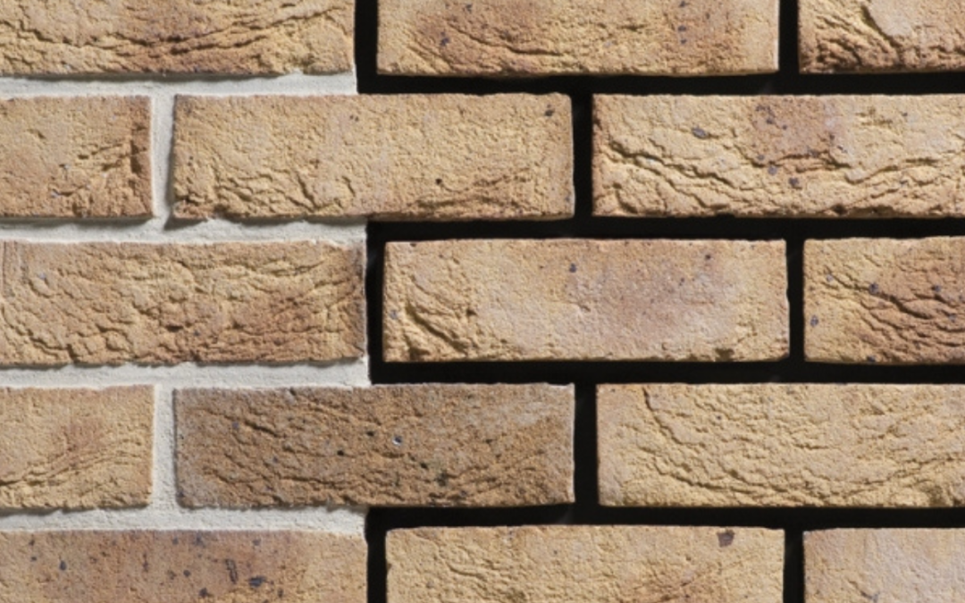 CEGŁY RĘCZNIE FORMOWANE ENGELS BALTIC AMBER