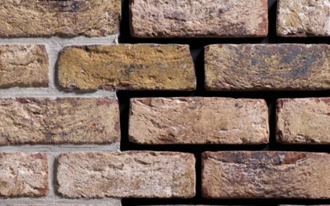 CEGŁY RĘCZNIE FORMOWANE ENGELS HERMITAGE ANTIEK MET FROG