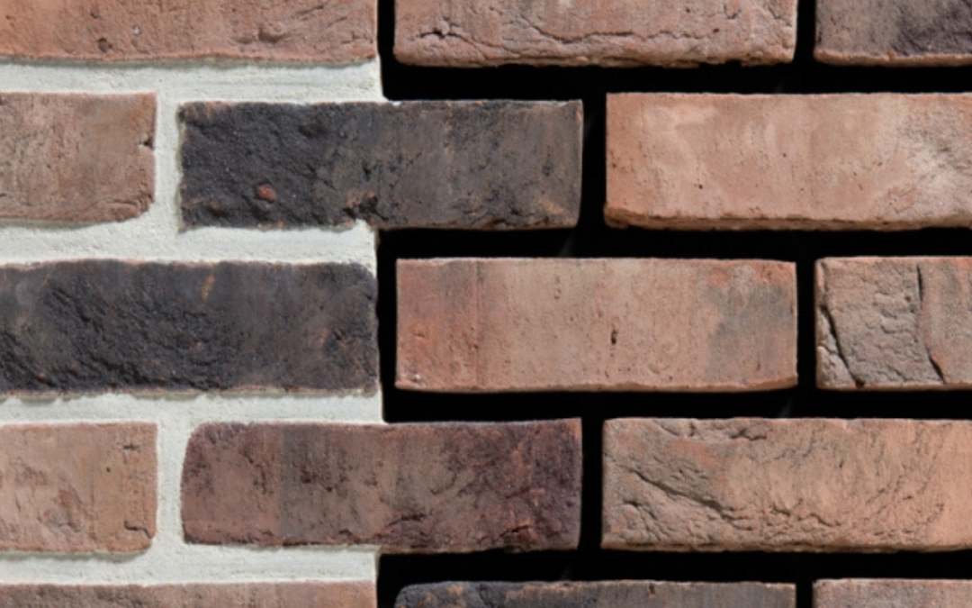 CEGŁY RĘCZNIE FORMOWANE ENGELS SALINA