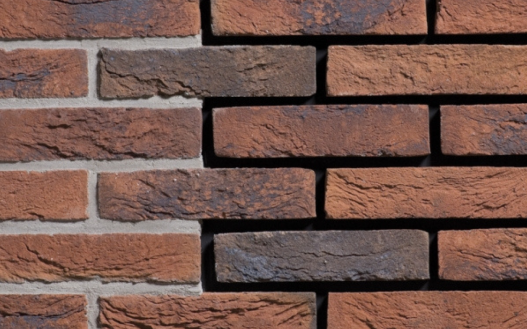 CEGŁY RĘCZNIE FORMOWANE ENGELS LIMBURGS ORANJE BONT