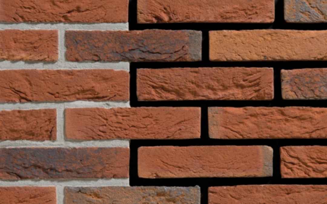 CEGŁY RĘCZNIE FORMOWANE ENGELS ORANJE BLAUW BONT